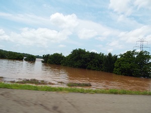 floodweb.jpg